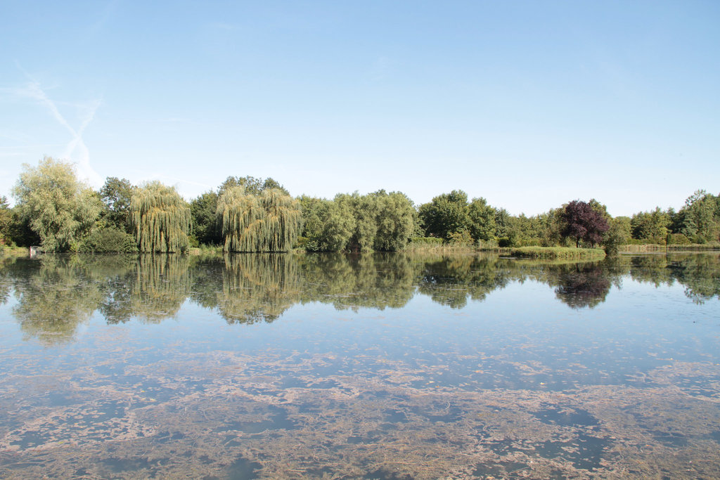 Etang de la "Guinguette de par-ci par-là"