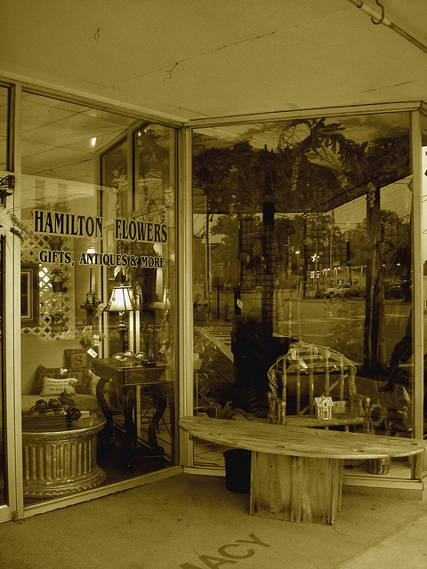 Hamilton flowers,gifts, antiques & more / Fleurs, cadeaux, antiquités et plus - Alabama. USA - 10 juillet 2010 -  Sepia