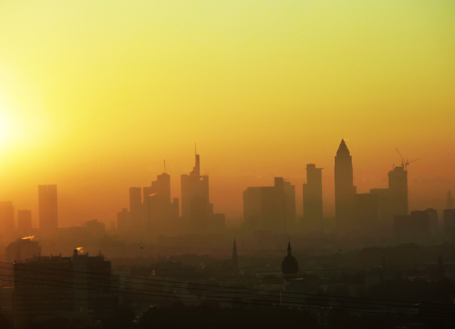 Misty Morning in Frankfurt