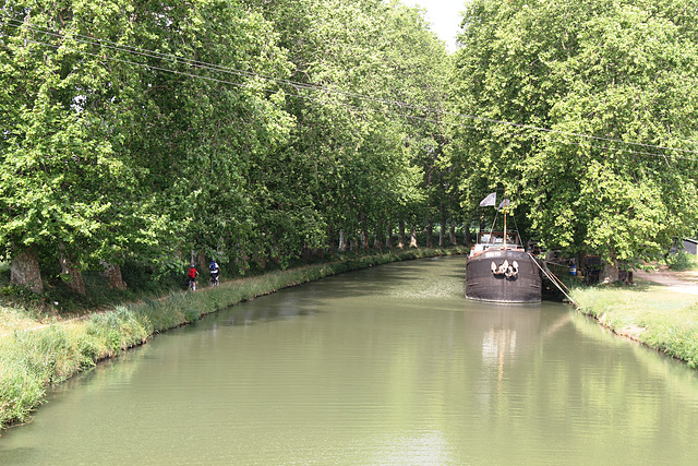 Canal du Midi près de Ouveillan