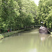 Canal du Midi près de Ouveillan