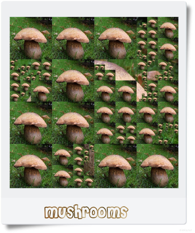 mushrooms