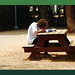 studying in the park