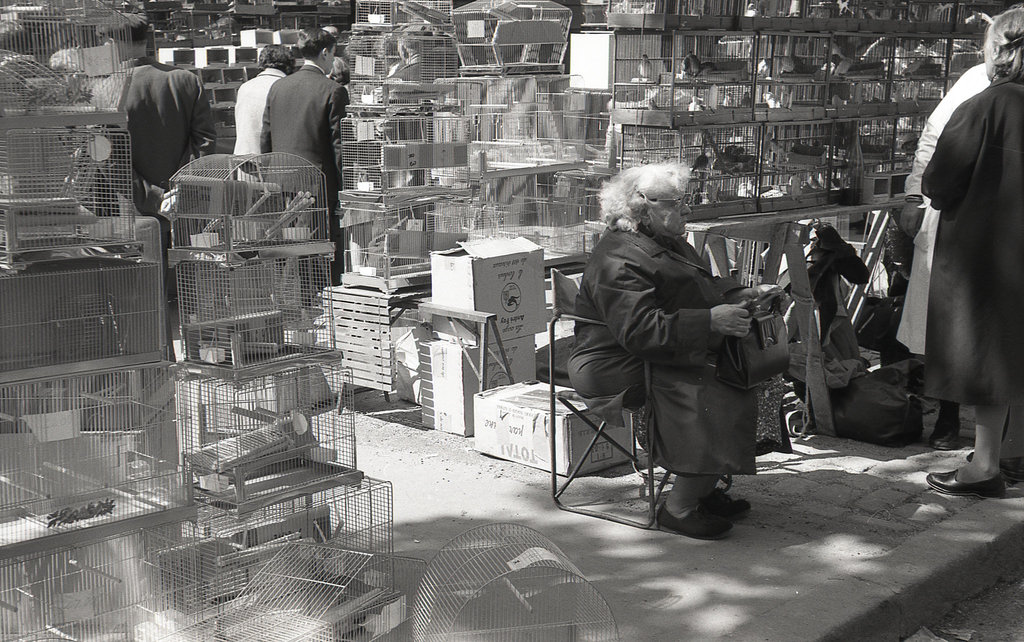 Ile de la Cité à Paris . 1965