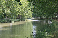 Canal du Midi après Argens-Minervois