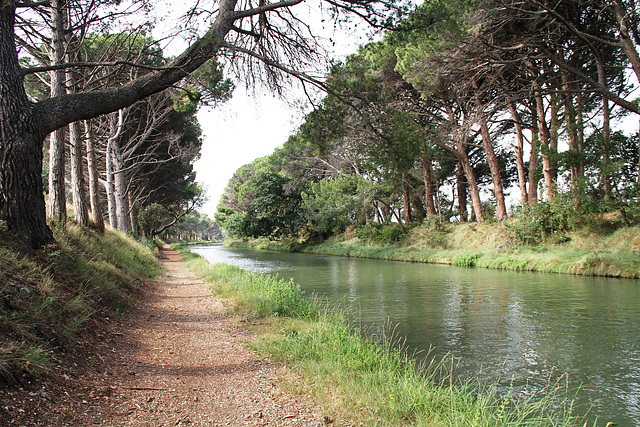 Canal du Midi vers Argeliers