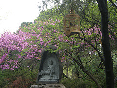 Xian-Gran Pagoda del Ganso Salvaje