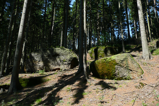 Wanderung in der Sächsischen Schweiz