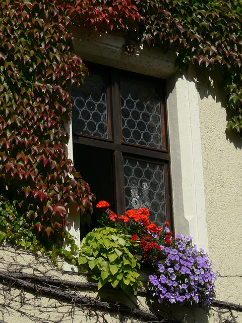 Weiden - Altes Rathaus