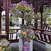 Bonsai Crepe Myrtle – Chinese Garden, Montréal Botanical Garden