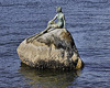 The Girl in the Wetsuit – Stanley Park, Vancouver, B.C.