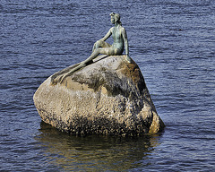 The Girl in the Wetsuit – Stanley Park, Vancouver, B.C.