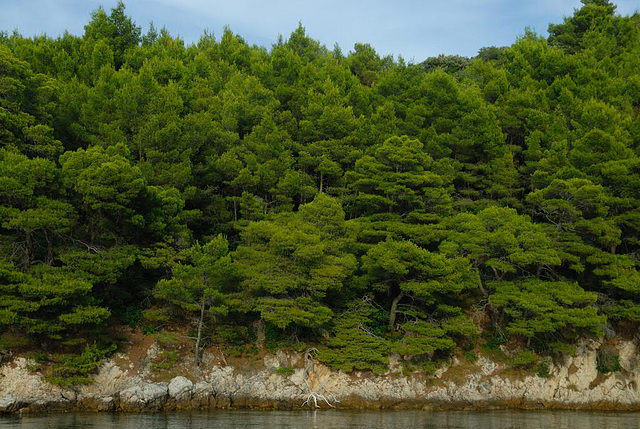 Along Korčula island