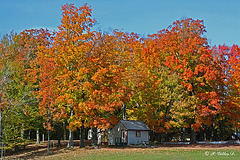 Couleurs féériques