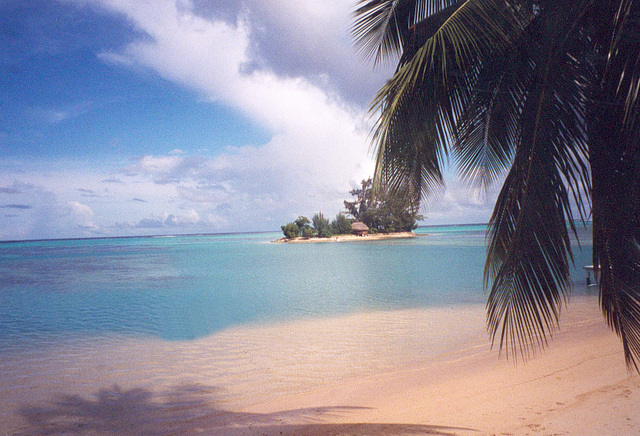 atoll polynésie