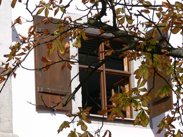 Fenster in der Stadt