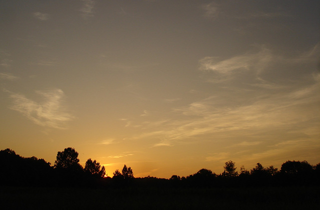 Coucher de soleil / Sunset - Pocomoke, Maryland. USA - 18 juillet 2010 - Recadrage