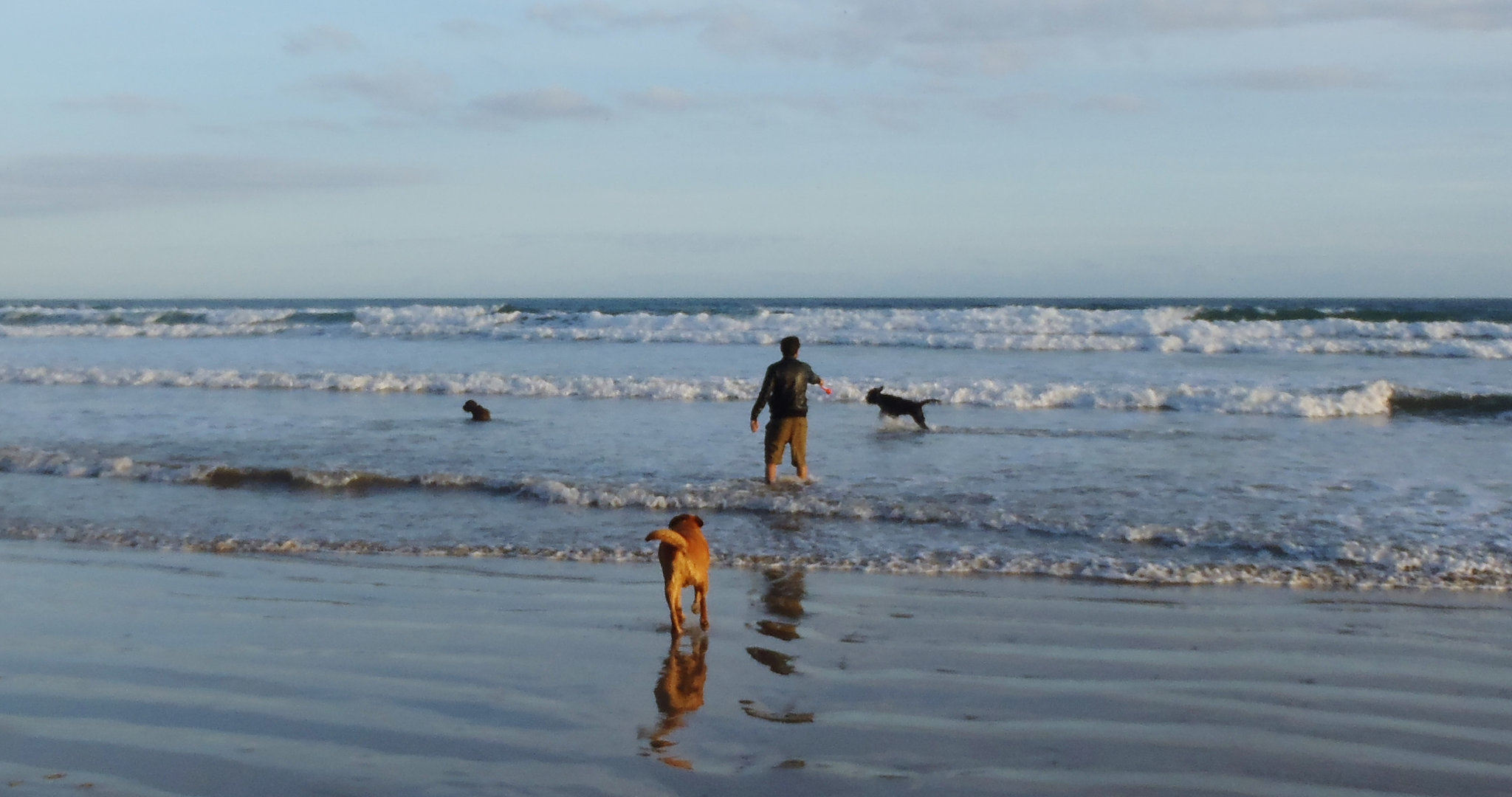 Juan at Waratah Bay