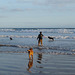 Juan at Waratah Bay