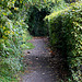 20101021 8598Aw [D~LIP] Heckenweg, UWZ, Bad Salzuflen