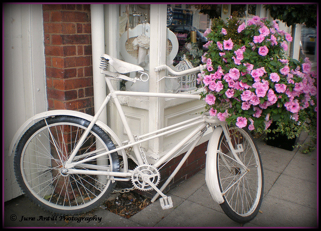 The ghost bike