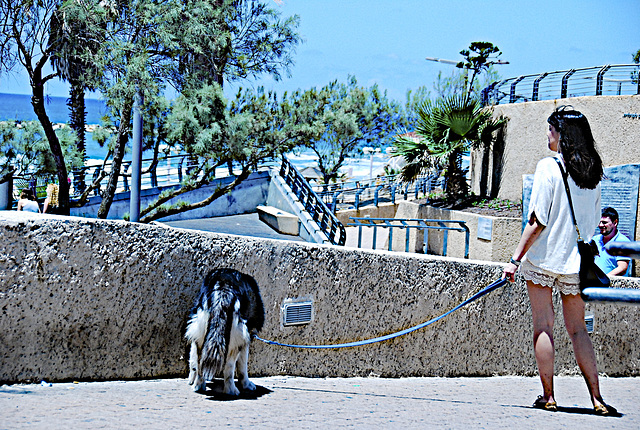 strolling with her pet...