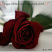 Happy Valentine's Day (Red velvet)