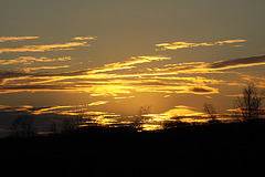 Nuage en or