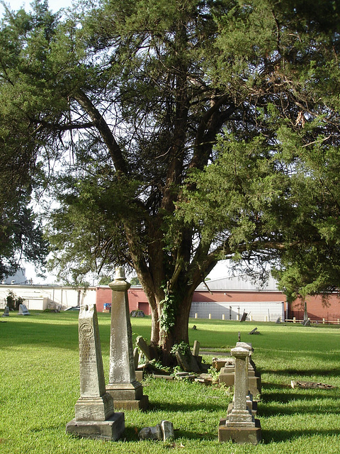 Le cimetière de Bastrop / Bastrop's cemetery -  Louisiane, USA. 8 juillet 2010.