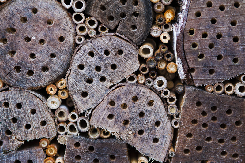 Insektenhotel, Insect Hotel