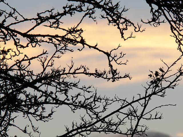 Sonnenuntergang