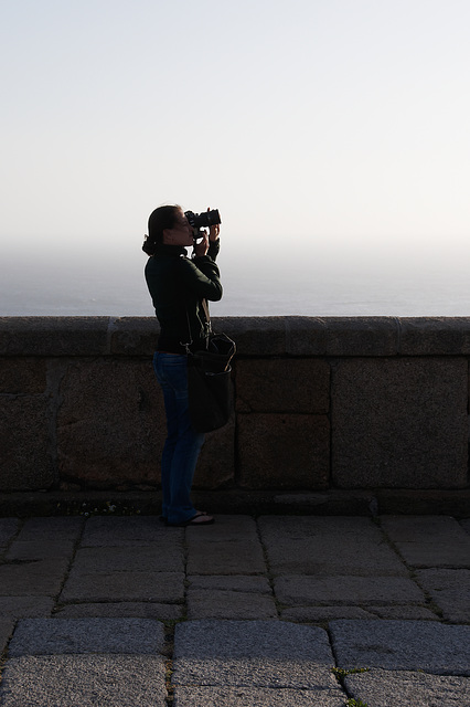 The Fog and the Photographer
