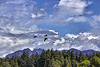 High Above Stanley Park – Vancouver, B.C.