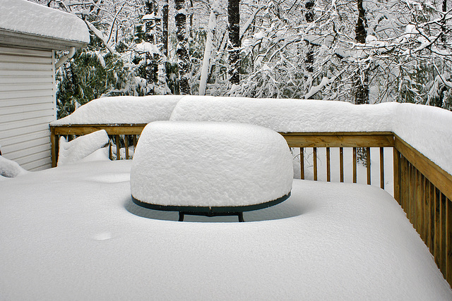 We Had a Little Snow Today! – Blizzard of 2010, Greenbelt, Maryland