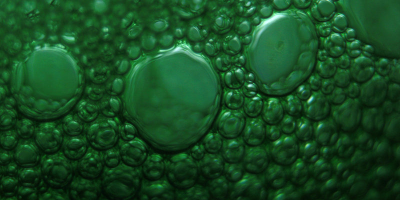 Green bubbles