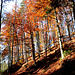 Herbst 2007