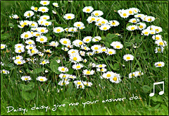 Daisy, daisy give me your answer do....