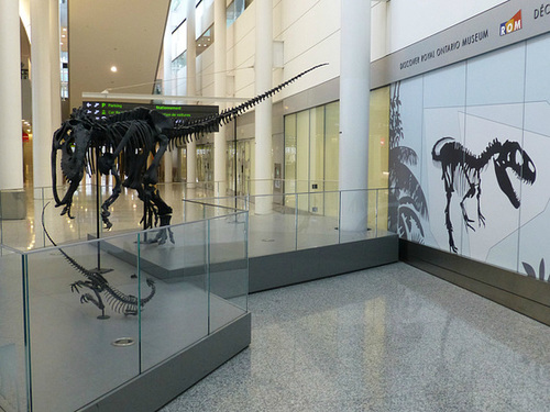 Dinosaurs at YYZ - 20 October 2014