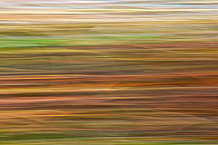 Abstract Fence.......