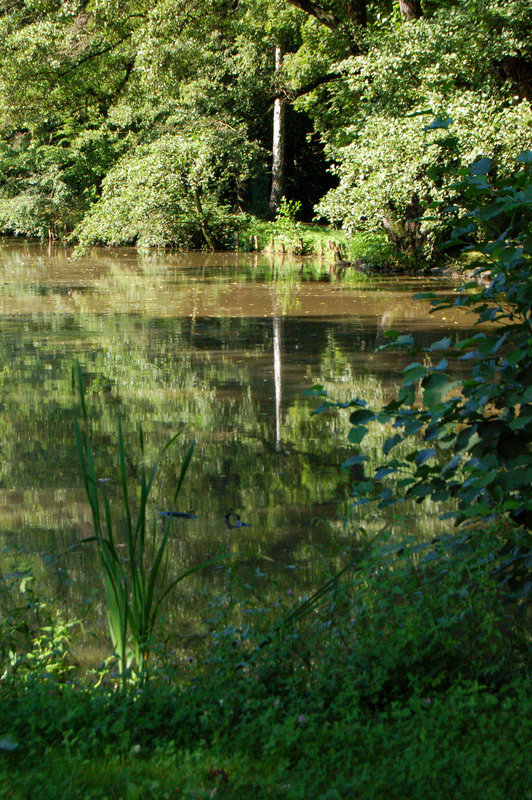 lago mistera