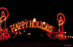 Happy Holiday Lights..