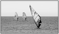 A trio of windsurfers