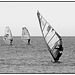 A trio of windsurfers