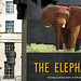 Éléphant par  R.M  et pour chiche