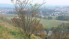 Blick vom Münchshofener Berg