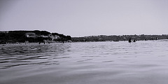 Lagoon of Óbidos (4)