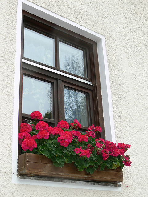 Fensterschmuck