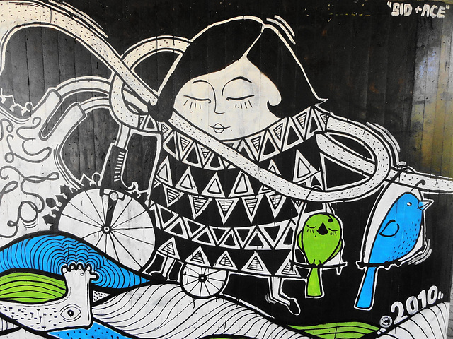 woman  bike birds