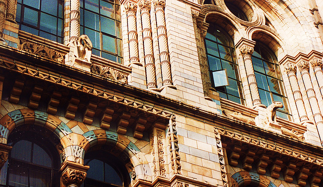 london, natural history museum