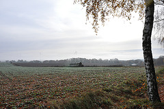 Zukunft im Nebel